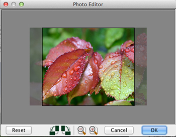 Photo Editor