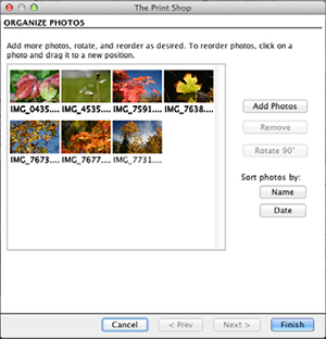 Organize Photos